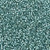 MIYUKI Delica Beads SEED-X0054-DB1767-3