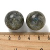 Natural Labradorite Round Ball Figurines Statues for Home Office Desktop Decoration G-P532-02A-33-3