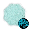 Luminous Glow in the Dark Cylinder Seed Beads PW-WG26040-12-1