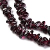 Natural Garnet Beads Strands F065-01A-4