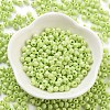 Baking Paint Glass Seed Beads SEED-A032-02F-2