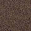 TOHO Round Seed Beads SEED-JPTR11-1704-2