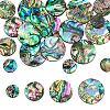 WADORN 20Pcs 4 Styles Natural Abalone Shell/Paua Shell Cabochons SHEL-WR0001-07-1