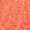 Glass Seed Beads SEED-S042-13A-06-3