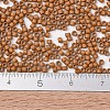MIYUKI Delica Beads SEED-JP0008-DB2287-4