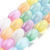 Macaron Color Natural Selenite Beads Strands G-B102-A01-02-1