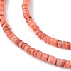 Natural Freshwater Shell Beads Strands SHEL-M018-06-3