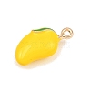 Fruit Alloy Enamel Pendants ENAM-P264-02I-G-3