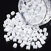 6/0 Two Cut Glass Seed Beads SEED-S033-07B-04-1