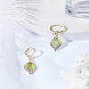1Pair Alloy Hoop Earrings EJEW-LP0008-041-3
