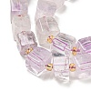 Natural Amethyst Beads Strands G-G053-B13-01B-4