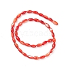 Natural Freshwater Shell Dyed Beads Strands X-SHEL-M018-13-05-2