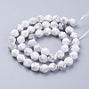 Natural Howlite Beads Strands G-J376-40-8mm-2