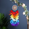 Woven Web/Net with Feather Wall Hanging Decorations PW-WG87714-01-2