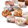 Natural Crazy Lace Agate Beads Strands G-L239-15-4