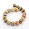Natural Crazy Lace Agate Round Bead Strands G-M272-03-10mm-2