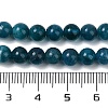 Natural Apatite Beads Strands G-D856-01-6mm-03-4