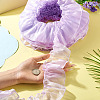 Polyester Lace Ribbon OCOR-TAC0035-25F-6