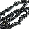 Natural Black Tourmaline Chip Bead Strands G-L444-08-2