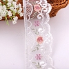 Polyester Lace Trim Ribbons PW-WG55501-02-1-2