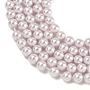 Electroplated Shell Pearl Beads Strands BSHE-G041-4mm-06-3