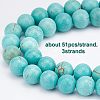 Olycraft 3 Strands Natural Howlite Beads Strands G-OC0002-64-3