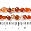 Natural Carnelian Beads Strands G-P497-01C-35-5