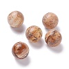 Natural Picture Jasper Beads G-D456-14-1
