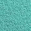TOHO Round Seed Beads X-SEED-TR11-0920-2