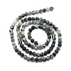 Natural Hawk's Eye Beads Strands G-P457-A03-06-3