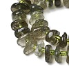 Natural Green Quartz Beads Strands G-L649-C03-01-4