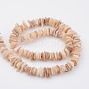 Natural Shell Bead Strands X-BSHE-P021-14-2