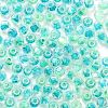 Glass Seed Beads SEED-A032-01M-3