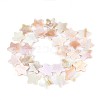 Natural Freshwater Shell Beads Strands SSHEL-N040-18-2