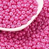 6/0 Glass Seed Beads SEED-L011-08A-28-1