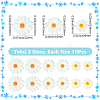 30Pcs 3 Styles Natural Freshwater Shell Beads SHEL-SC0001-91-2