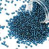 TOHO 8/0 Round Beads X-SEED-TR08-0023BD-1