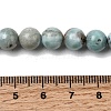 Natural Larimar Beads Strands G-B156-A01-8mm-6