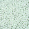 Opaque Baking Paint Glass Seed Beads SEED-T008-02M-3