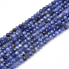 Natural Sodalite Beads Strands G-S361-2mm-004-1