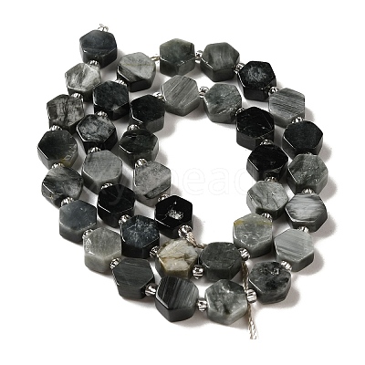 Natural Eagle Eye Stone Beads Strands G-P534-A14-02-1