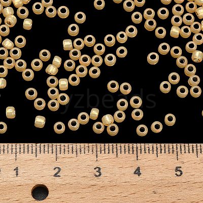 TOHO 8/0 Round Beads X-SEED-TR08-2110-1