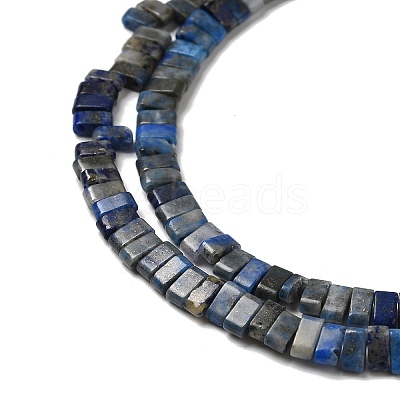 Natural Lapis Lazuli Beads Strands G-Z045-A11-01-1