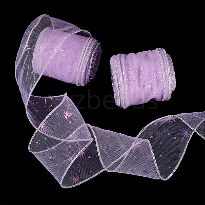 Polyester Deco Mesh Ribbons OCOR-TAC0024-004B-1