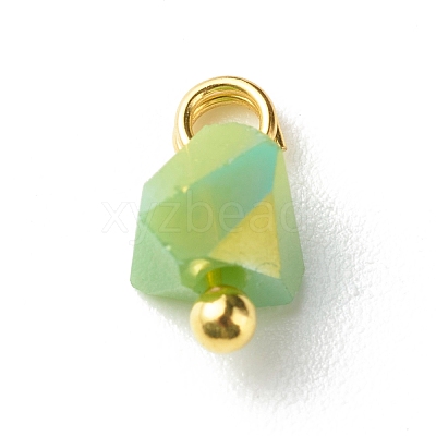Electroplate Glass Charms PALLOY-JF00821-04-1