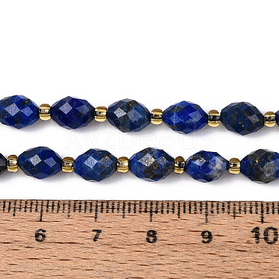 Natural Lapis Lazuli Beads Strands G-N342-53-8x6-10-1