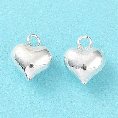 925 Sterling Silver Charms STER-H106-01A-S-1