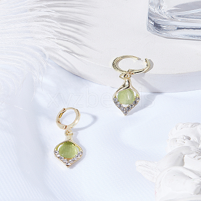 1Pair Alloy Hoop Earrings EJEW-LP0008-041-1