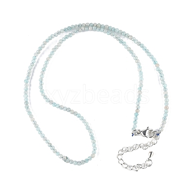 Natural Amazonite Beaded Necklaces NJEW-K114-A-A07-1