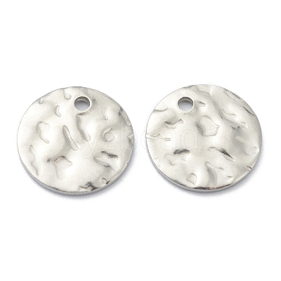 Tarnish Resistant 304 Stainless Steel Charms STAS-H157-03A-P-1